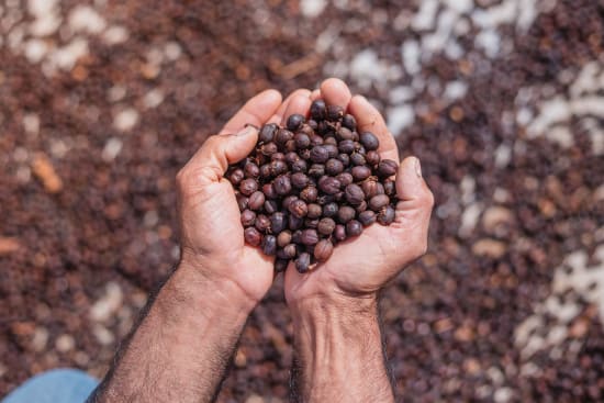 The Queen’s Blend Coffee – Premium Smooth Gourmet Blend | Butler Beans