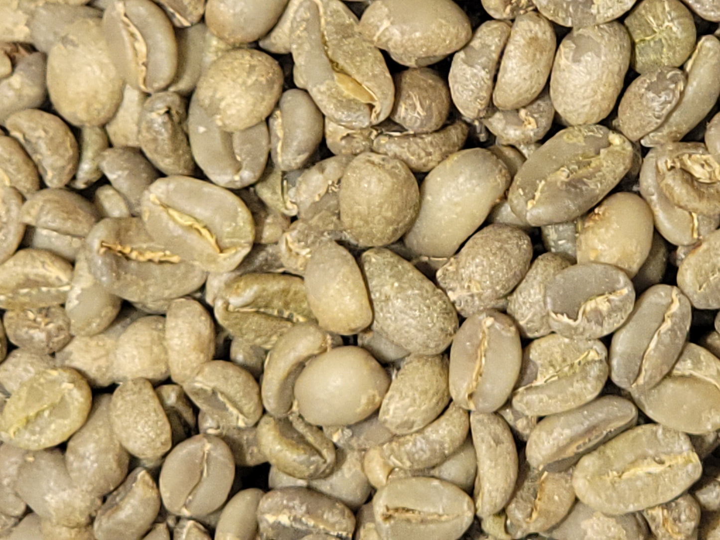 Ethiopia Yirgacheffe Coffee – Floral, Citrus, Fresh Roasted | Butler Beans